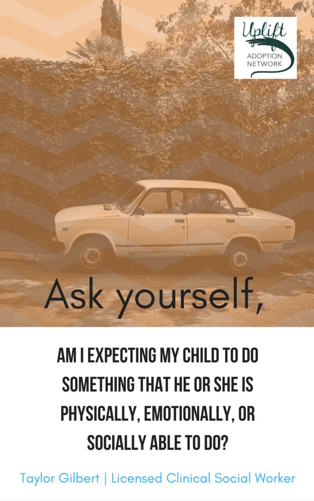 Ask yourself if you are expecting something the child is not able to do.